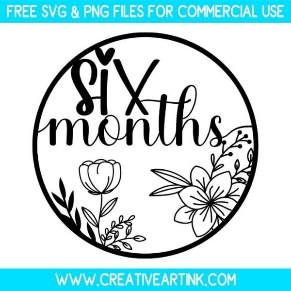 Floral Six Months SVG & PNG Images Free Download