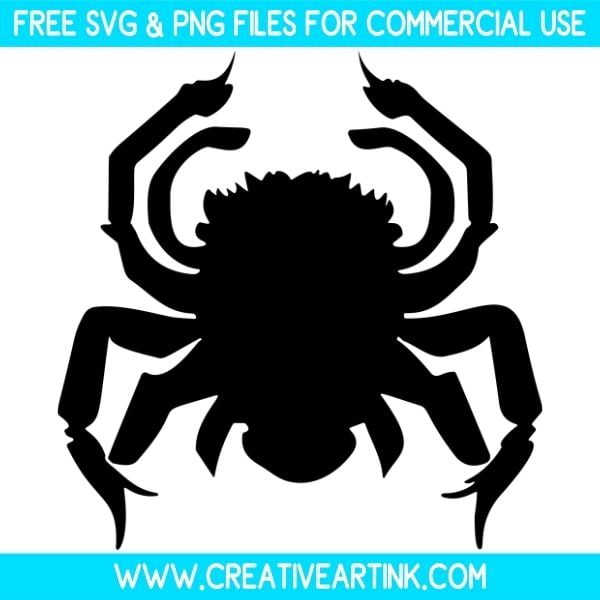 Spider Free SVG & PNG Images Download