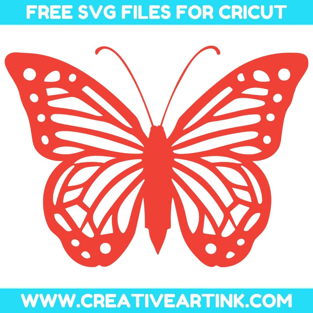 Butterfly SVG cut file for cricut